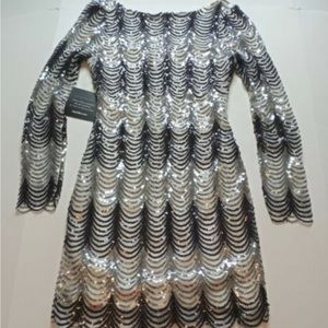 Size 3XL: Charlotte Russe Dress